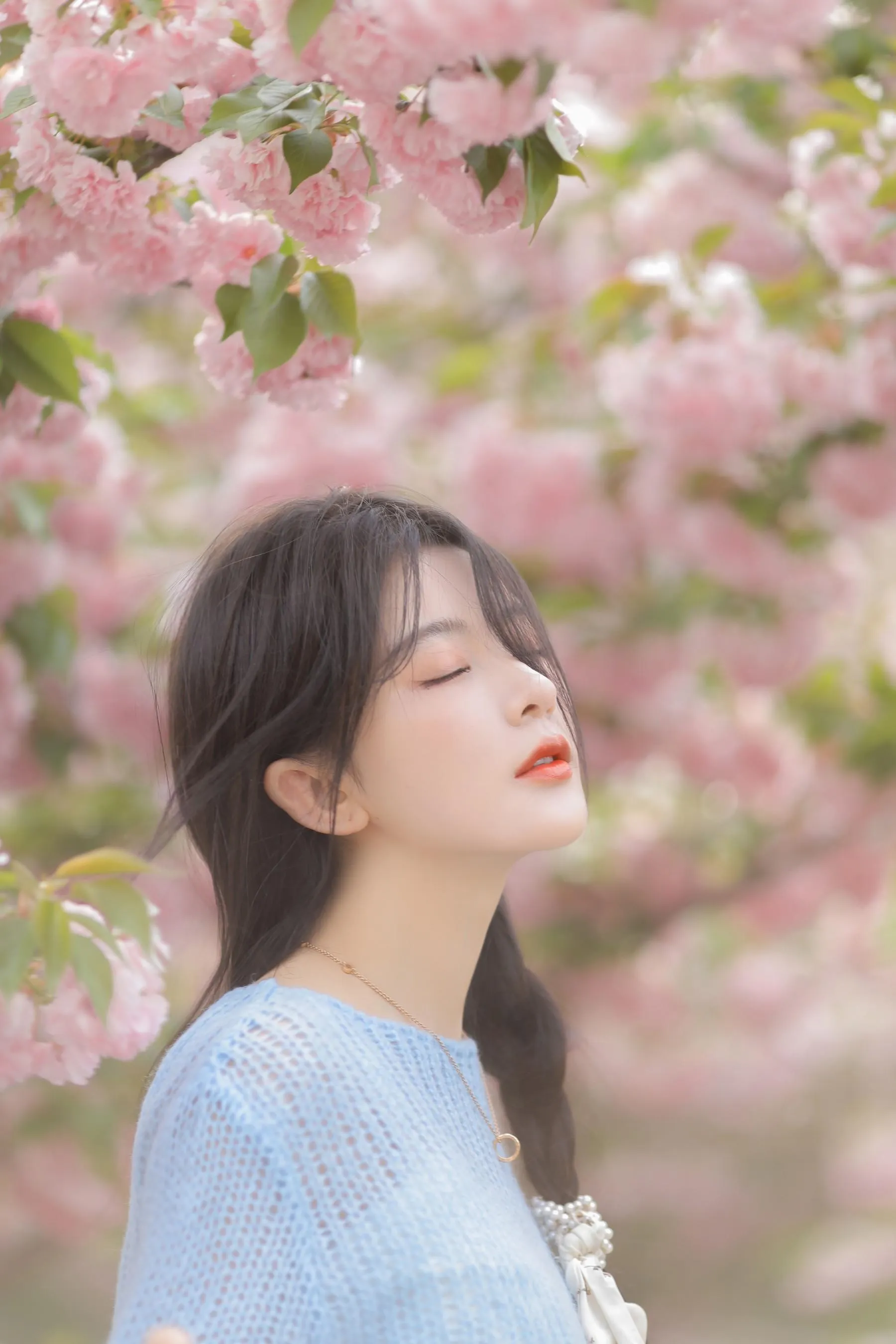 [艺图语] 2022.06.22 粉蓝晚樱 杨伊墨 [29P]插图3